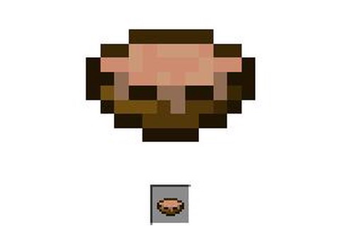 我的世界菌丝有什么用