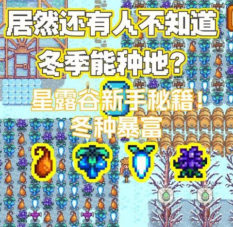 星露谷物语冬天种什么[图2]